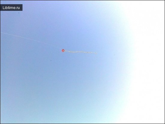 Kite