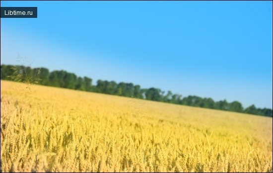 Народные приметы июля