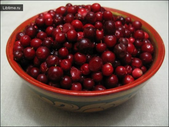 Мочение брусники