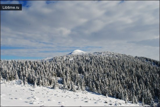 Carpathian Mountains