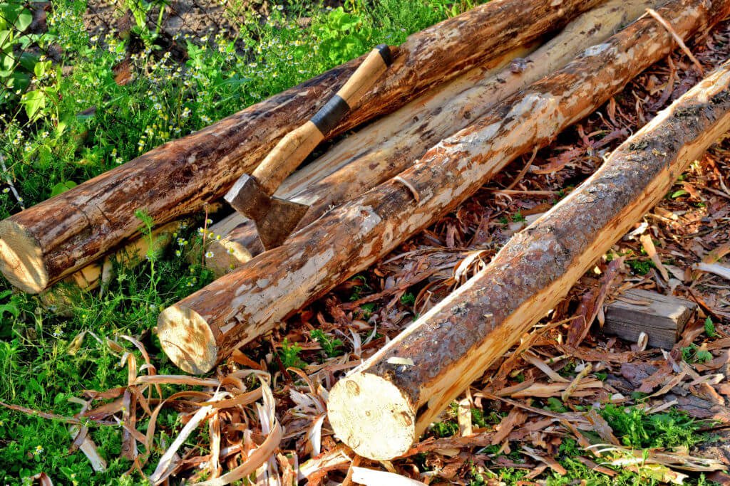 Logging