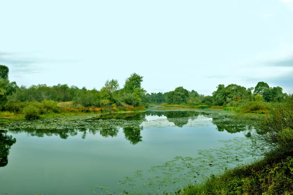 State of a body of water