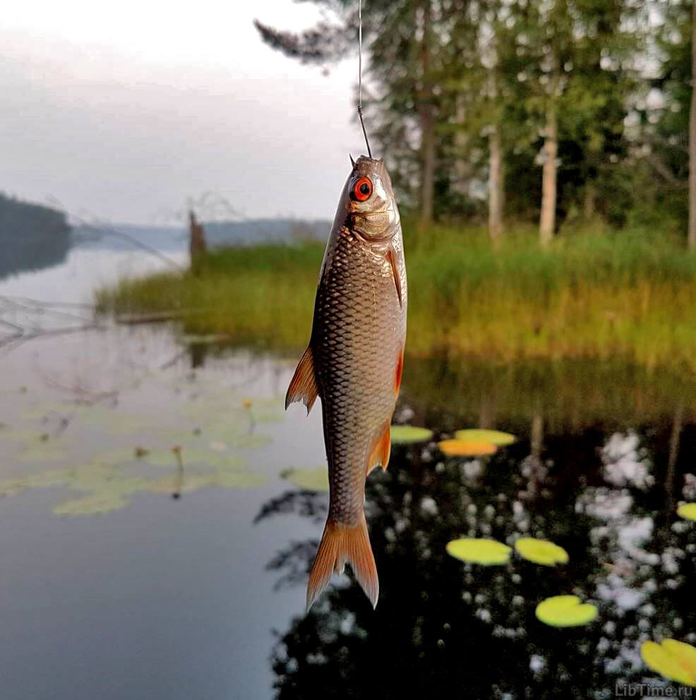 Fishing in a body of water