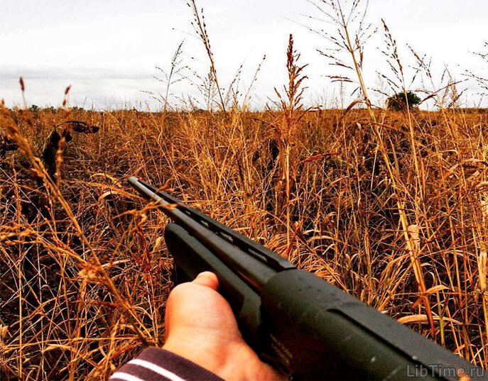 Firearm
