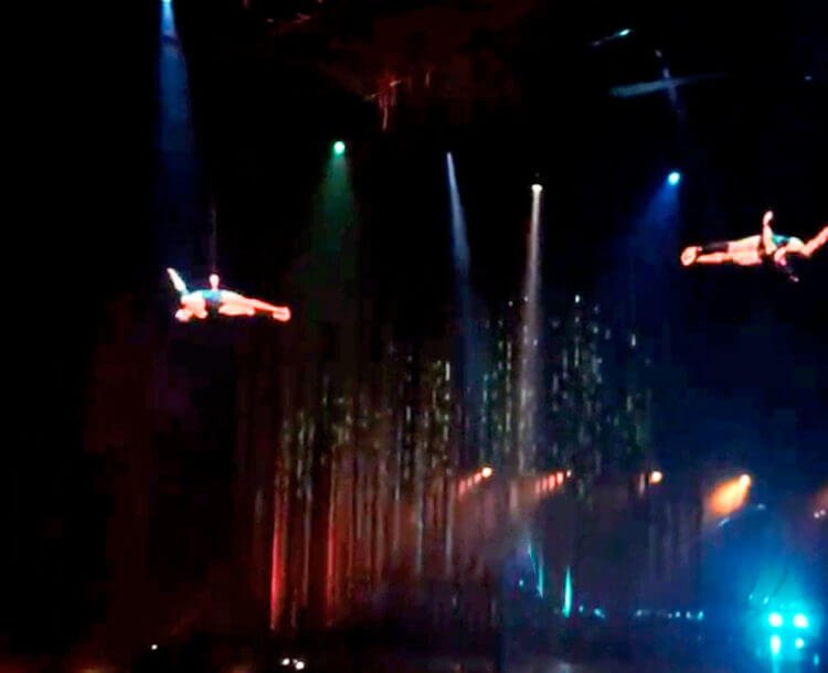 Aerial gymnasts