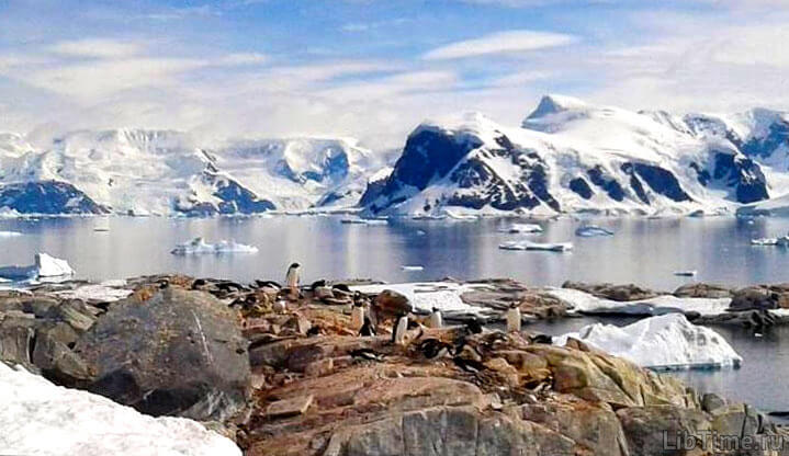 Antarctica