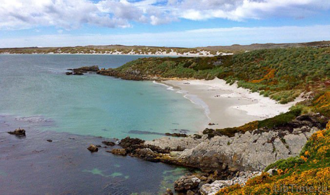 Falkland Islands