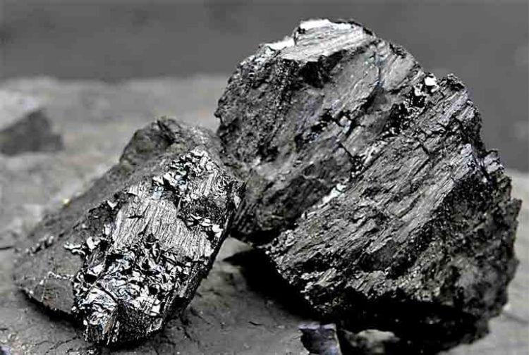 Coal