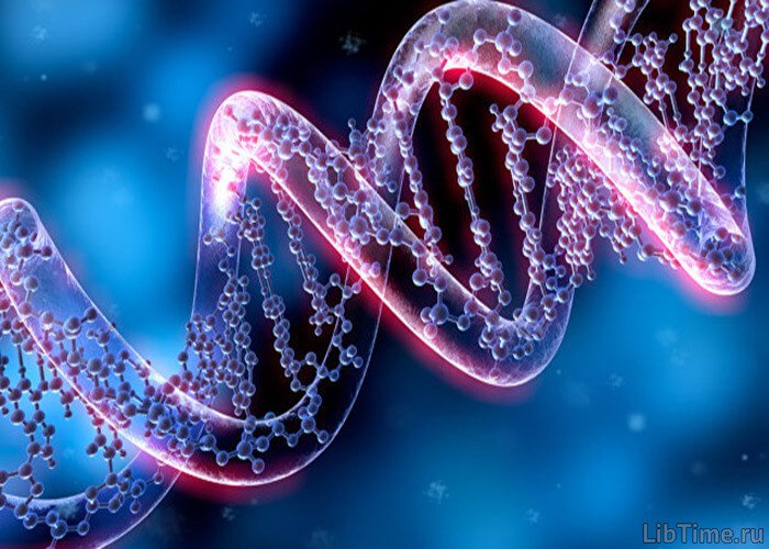 DNA molecule
