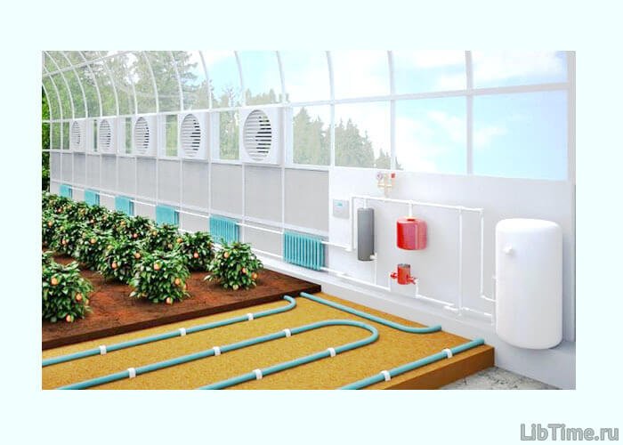 Plant physiology and its connection with other sciences