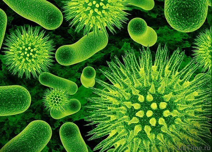The effect of an electric field on living organisms