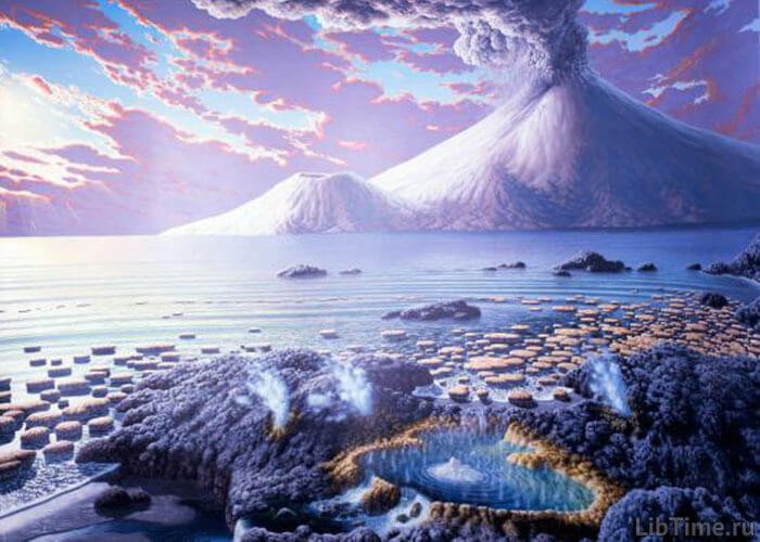 How the modern plant world formed
