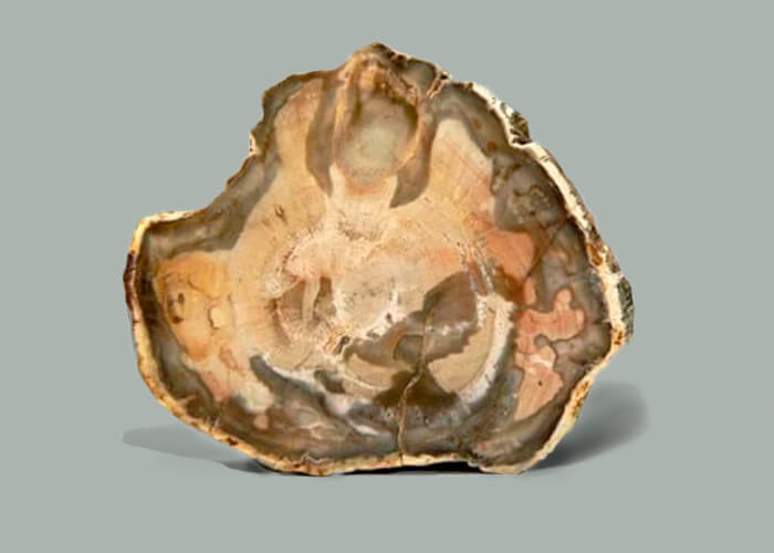 Mineralized wood