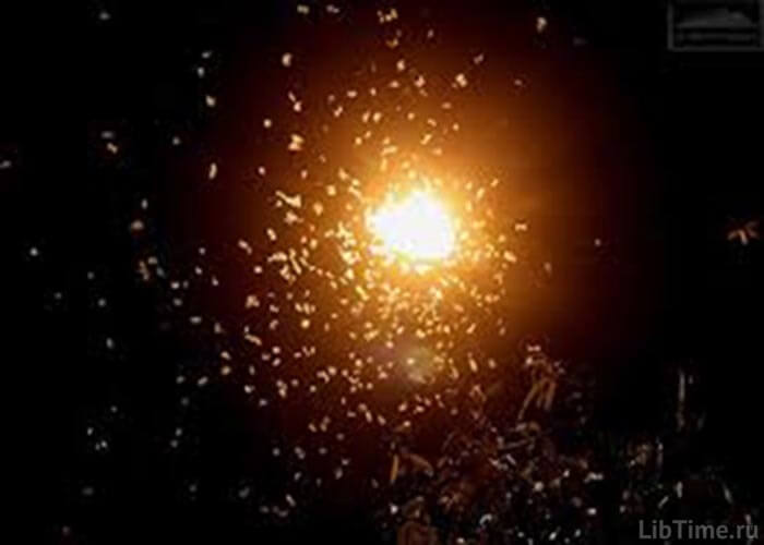 Insects flying toward the light