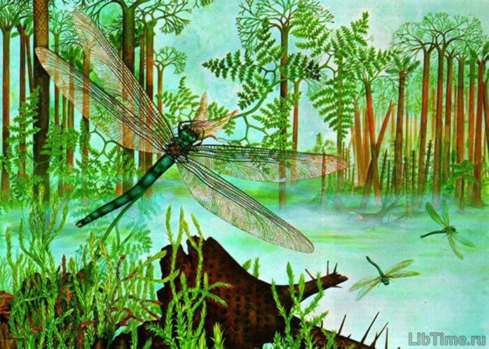 Nature of the Tertiary period