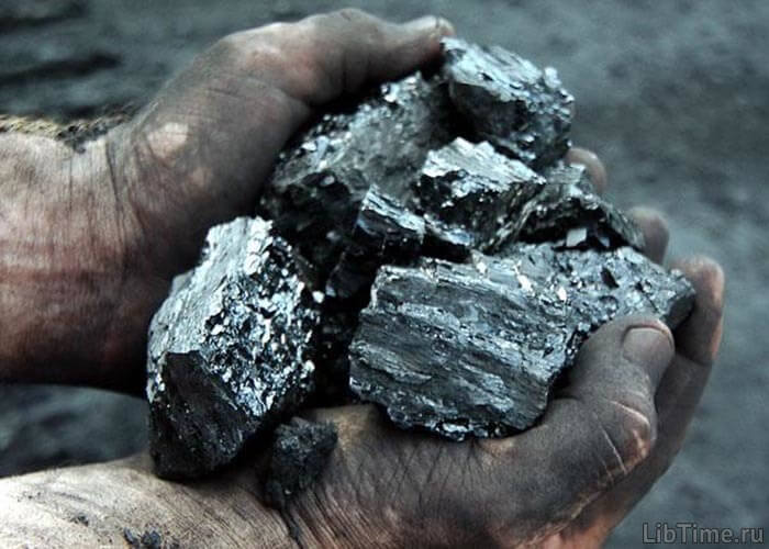 Organic matter as a source of energy