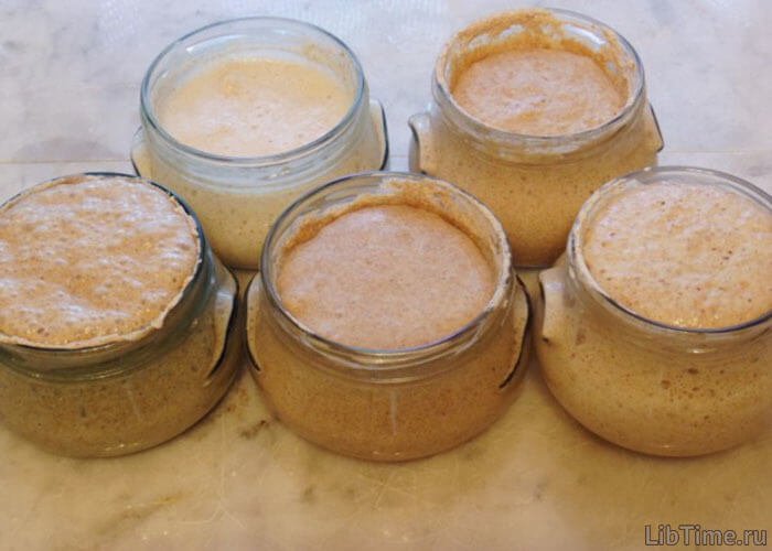 Lactic acid fermentation