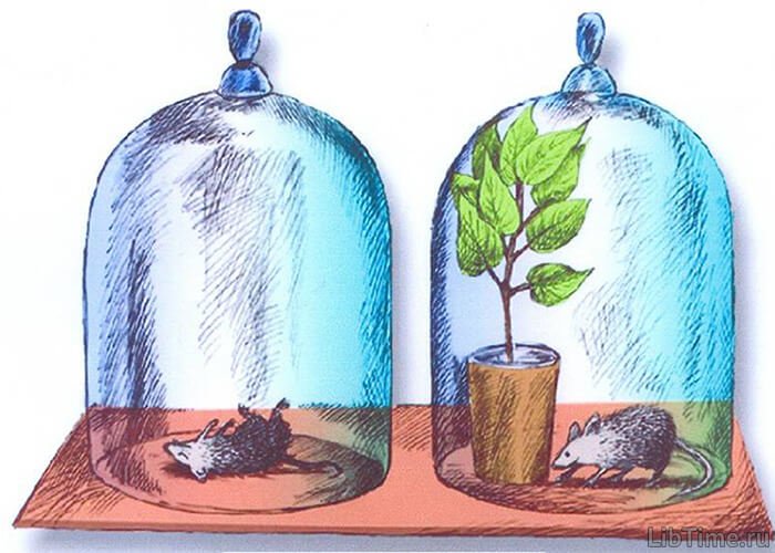 Priestley's experiment