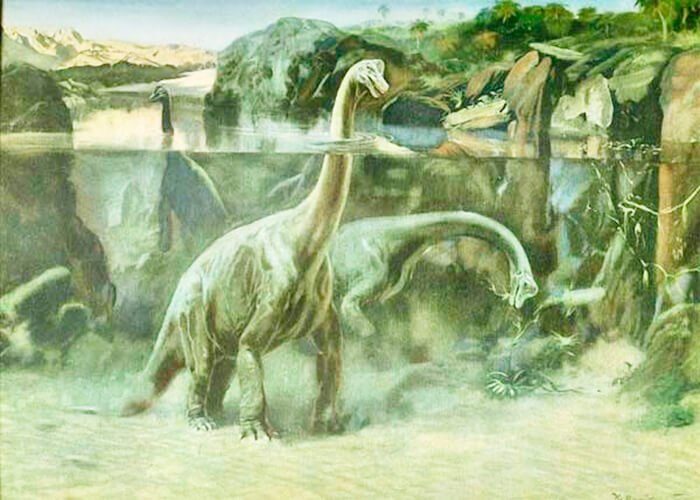 Ancient brachiosaurus