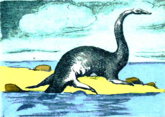 Ancient plesiosaur