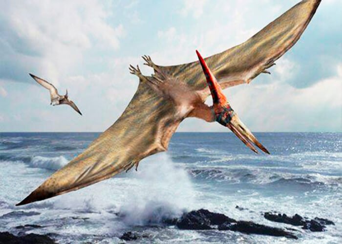 Winged reptile - pterosaur