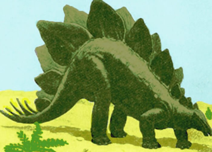 Crested reptile - stegosaurus