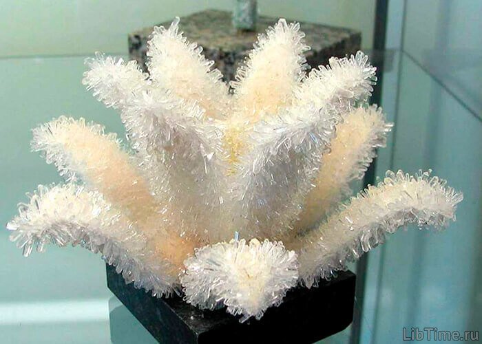 Table salt crystals