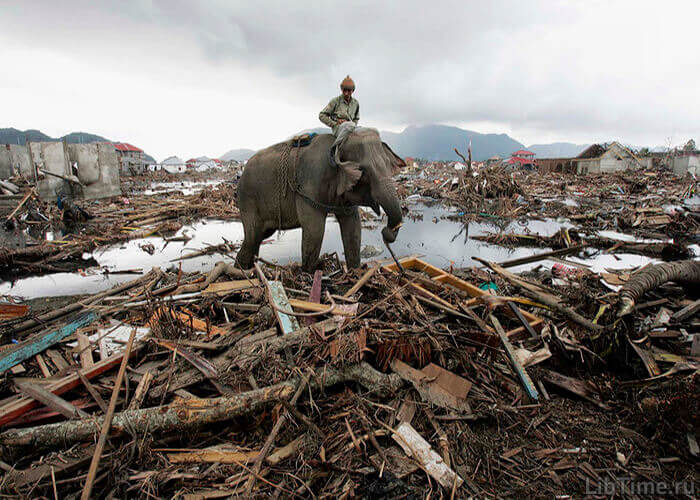 Aftermath of flooding in India
