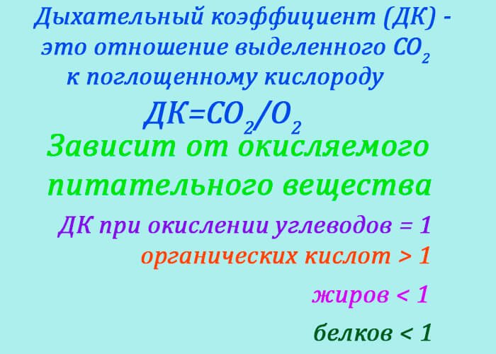 Дыхательный коэффициент