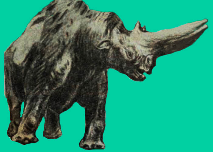 Ancient Arsinoitherium