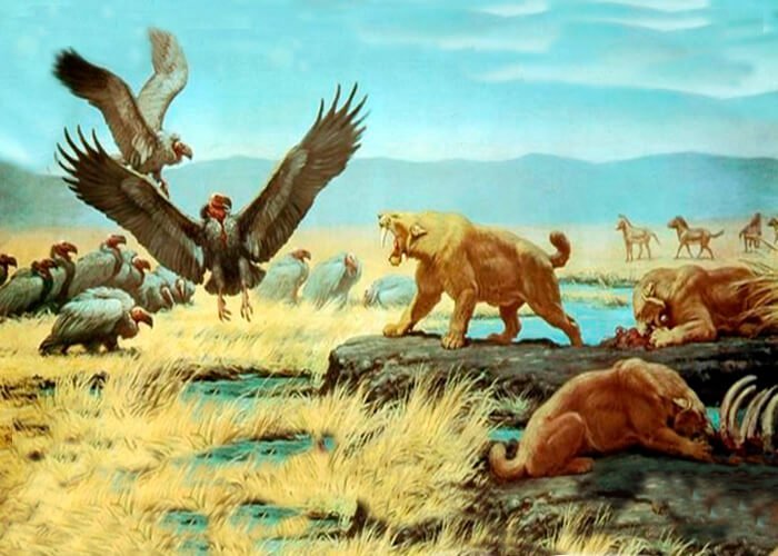 Saber-toothed tiger