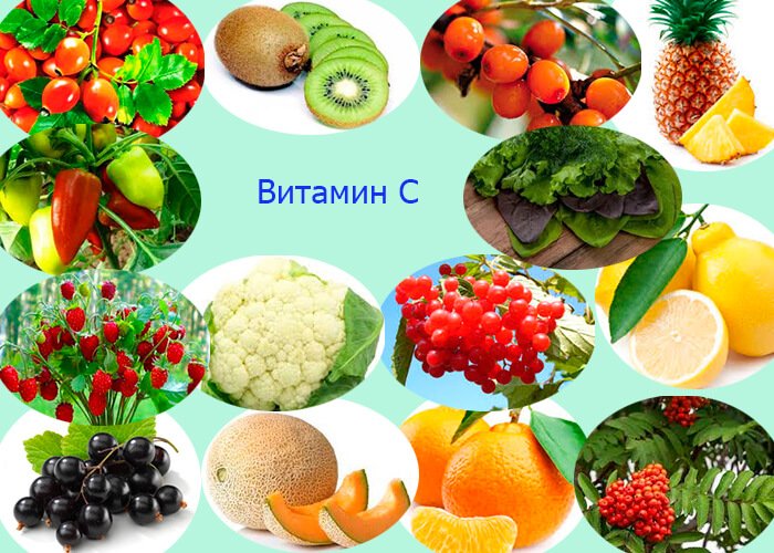 Витамины в растениях