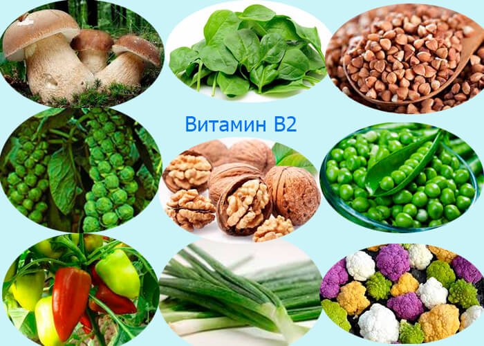 Содержат витамин В2