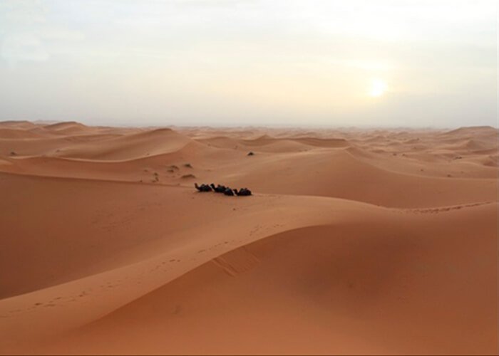 Dunes in the desert