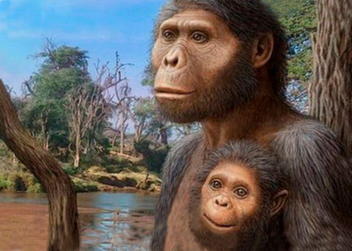 Ancient Australopithecus