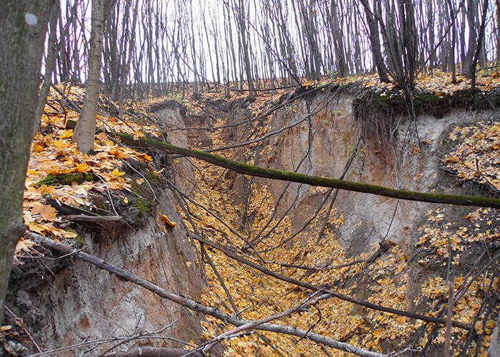 Deep ravine