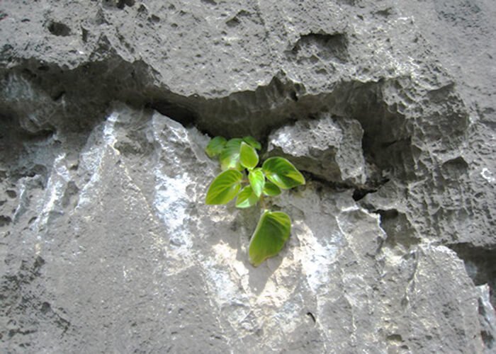 What destroys rocks
