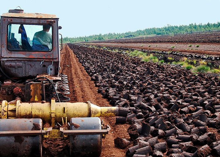 Peat extraction