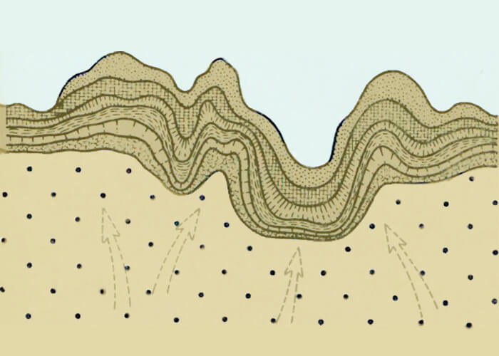 Formation of folds