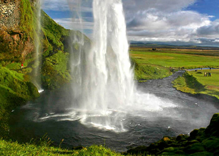 A geyser in Iceland