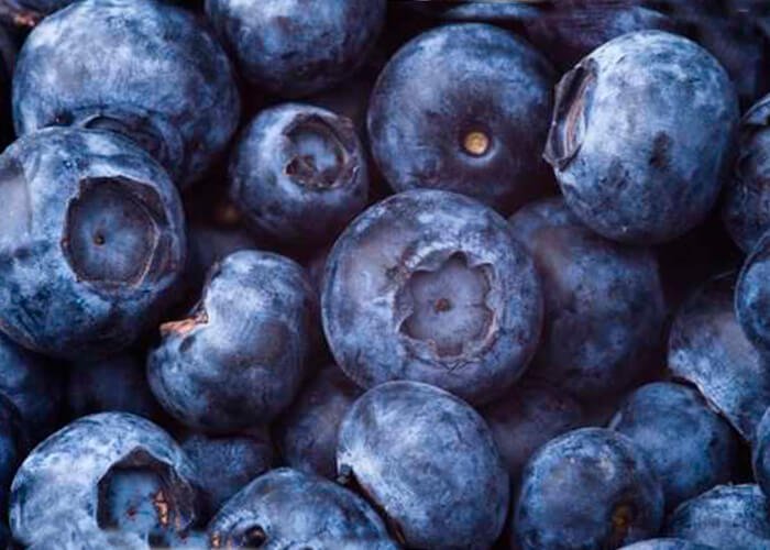 Blueberry berries