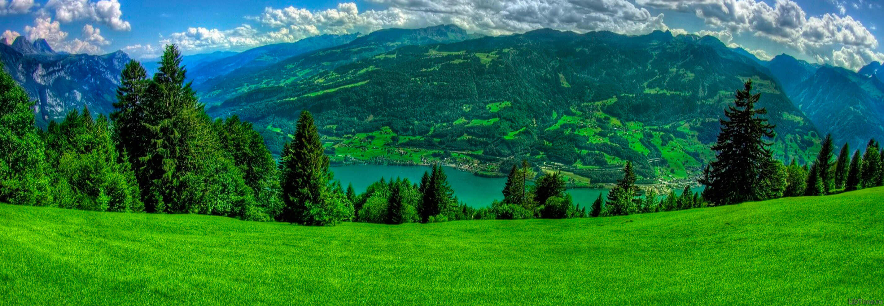 Scenic view of mountains, forest, and a peaceful lake