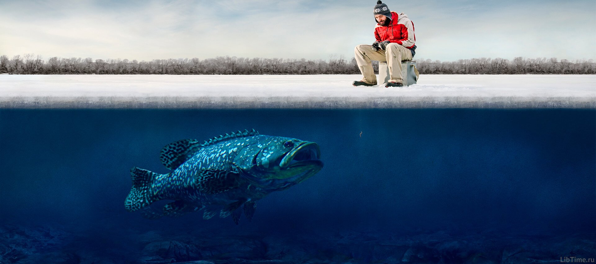 Fish checking bait under the ice during ice fishing